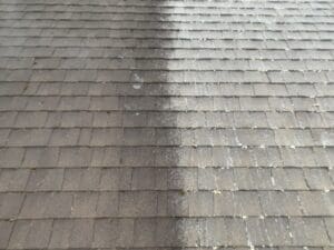 Roof Moss Removal Surrey