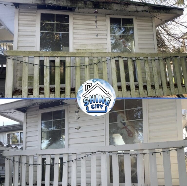 Langley House Washing