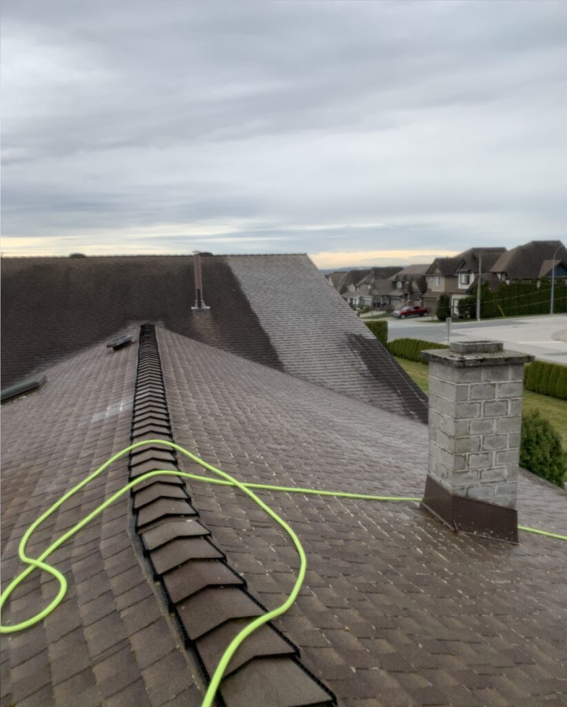 Langley Roof Cleaning
