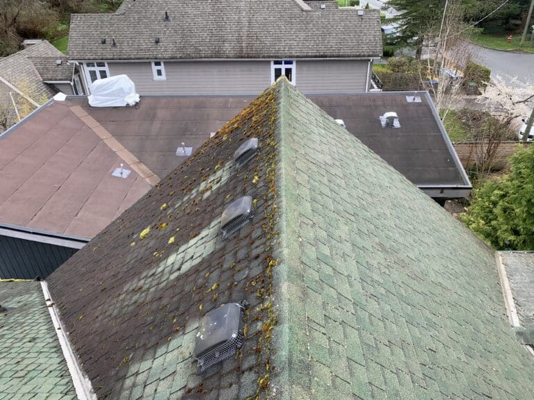 Surrey Roof Cleaning