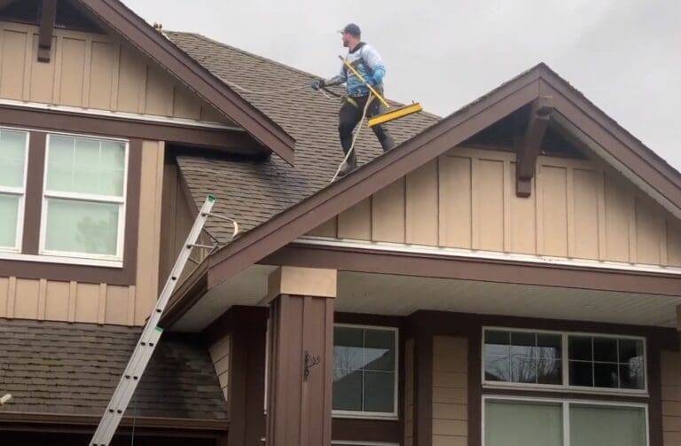 Langley roof moss removal