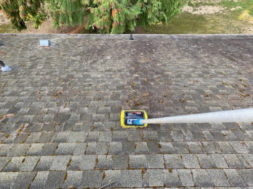 Vancouver Roof Cleaning