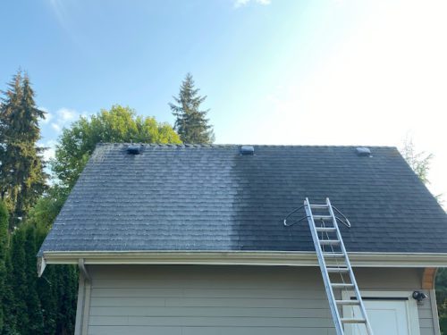 Roof Cleaning Pricing