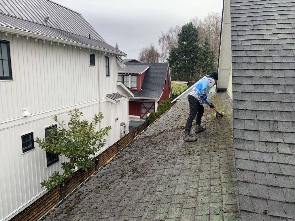 Abbotsford roof cleaning