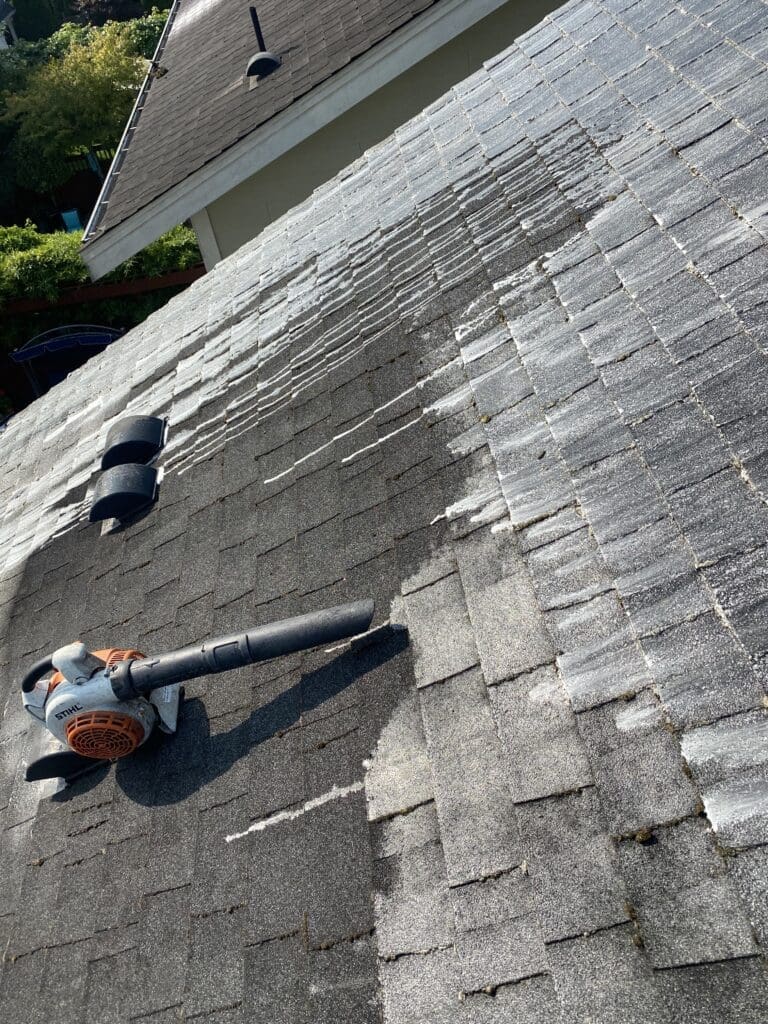 Roof Soft Washing