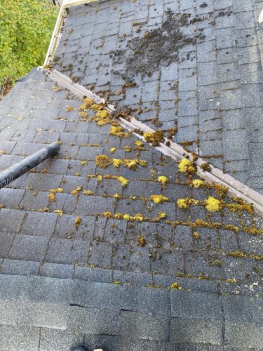 Shine City Roof Moss Removal