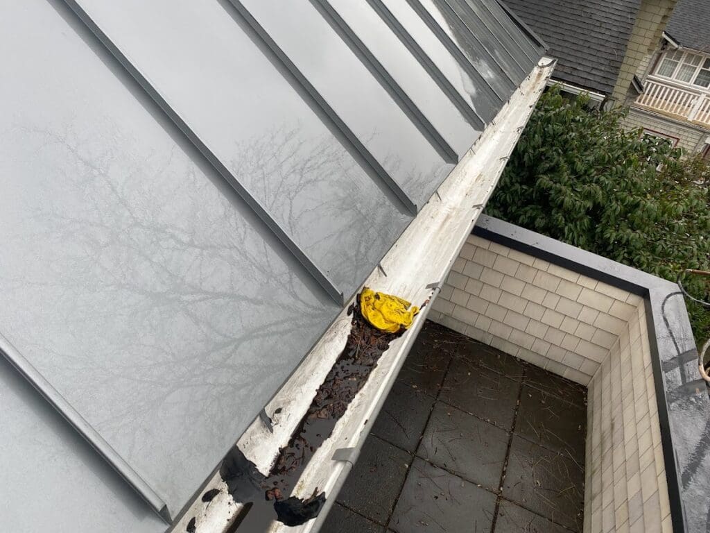 Maple Ridge Gutter Cleaning