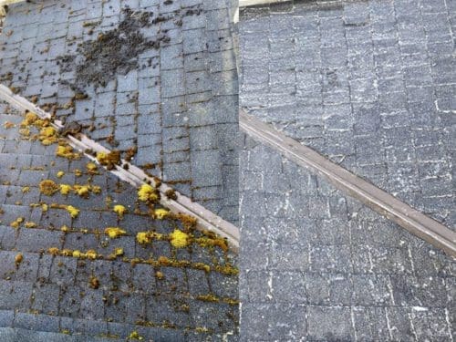 Maple ridge roof cleaning