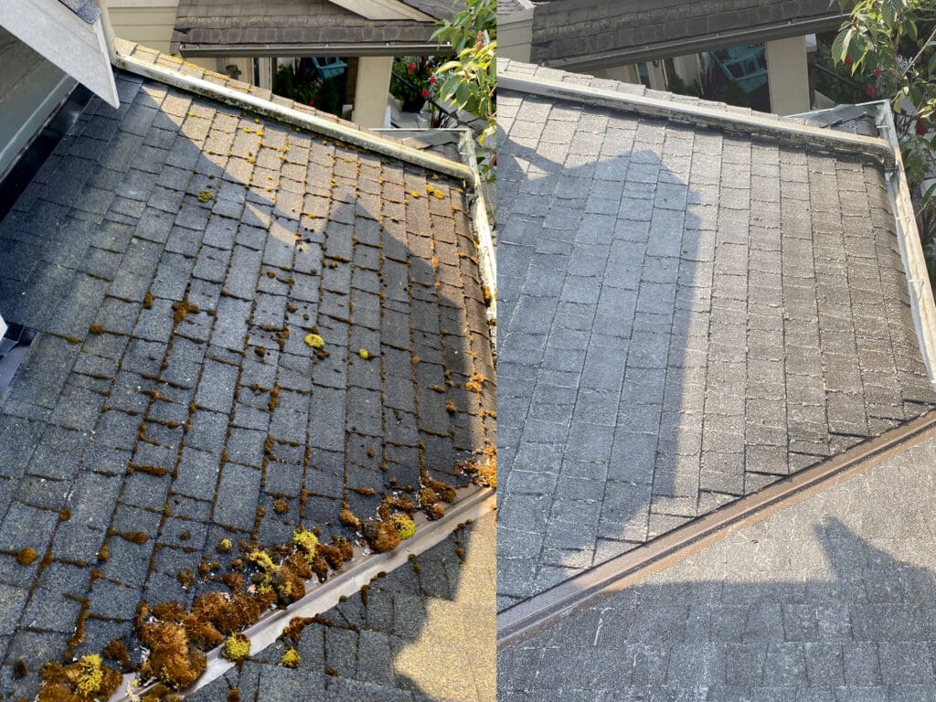 Surrey Roof Moss Removal