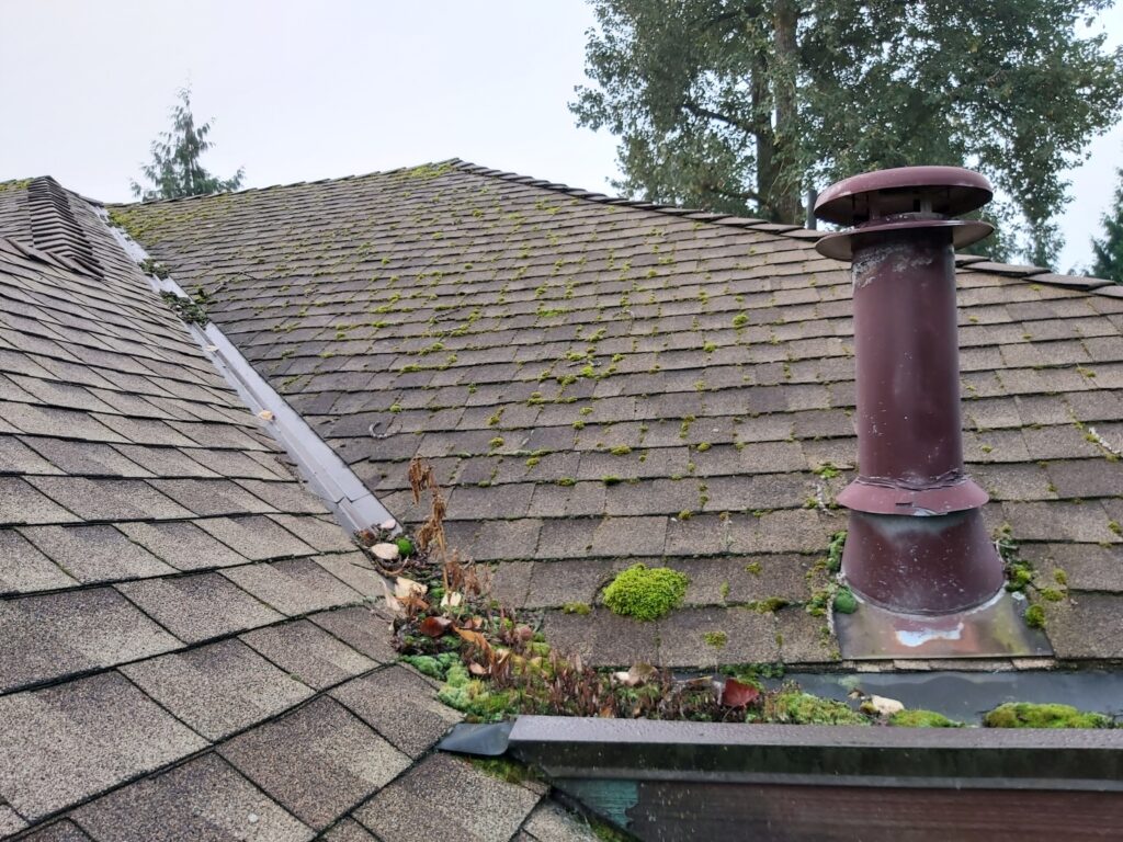 What is the best time of the year to clean your roof?