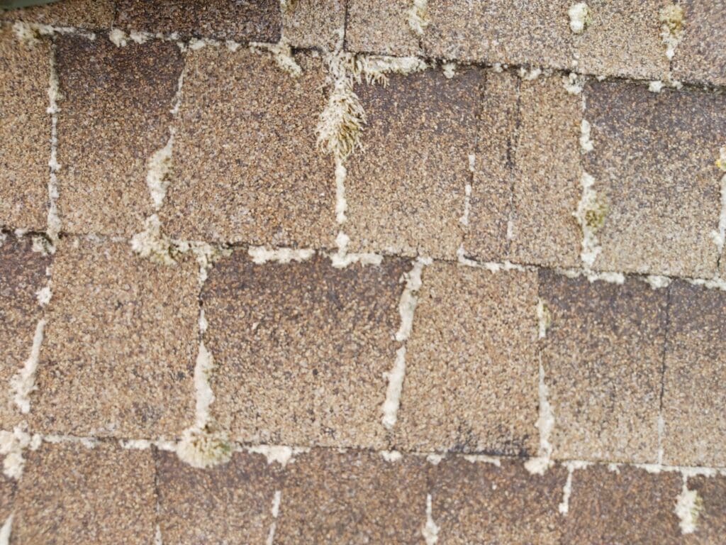 Richmond roof cleaning