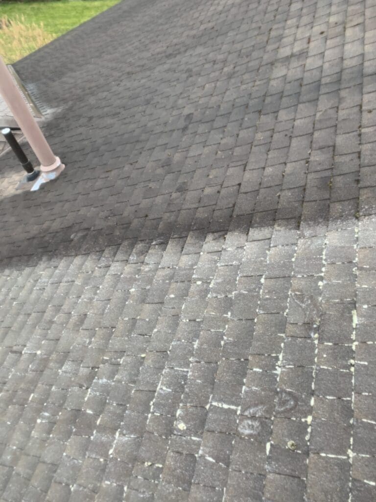 Coquitlam Roof Cleaning