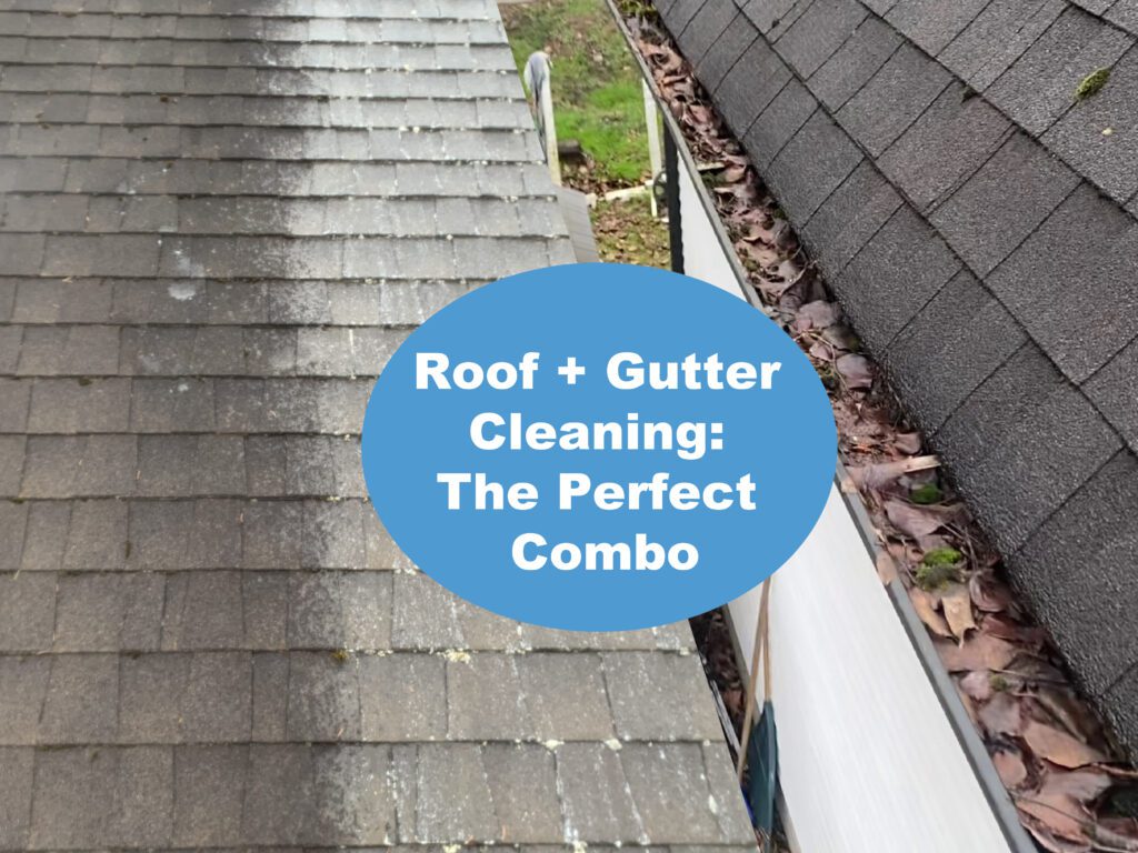 Roof Cleaning