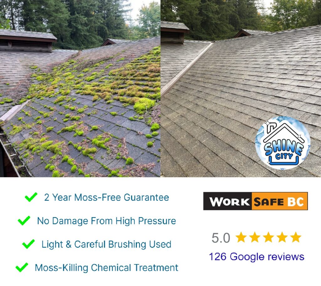 Surrey Roof Cleaning